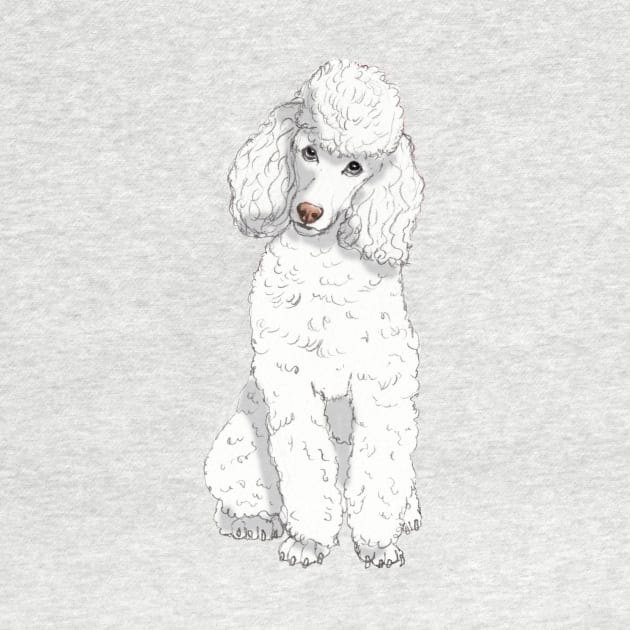 Toy poodle W by doggyshop